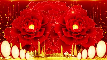 4K牡丹鼓背景循环