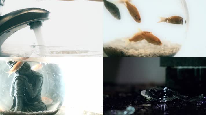一组悲伤金鱼鱼缸抽象镜头