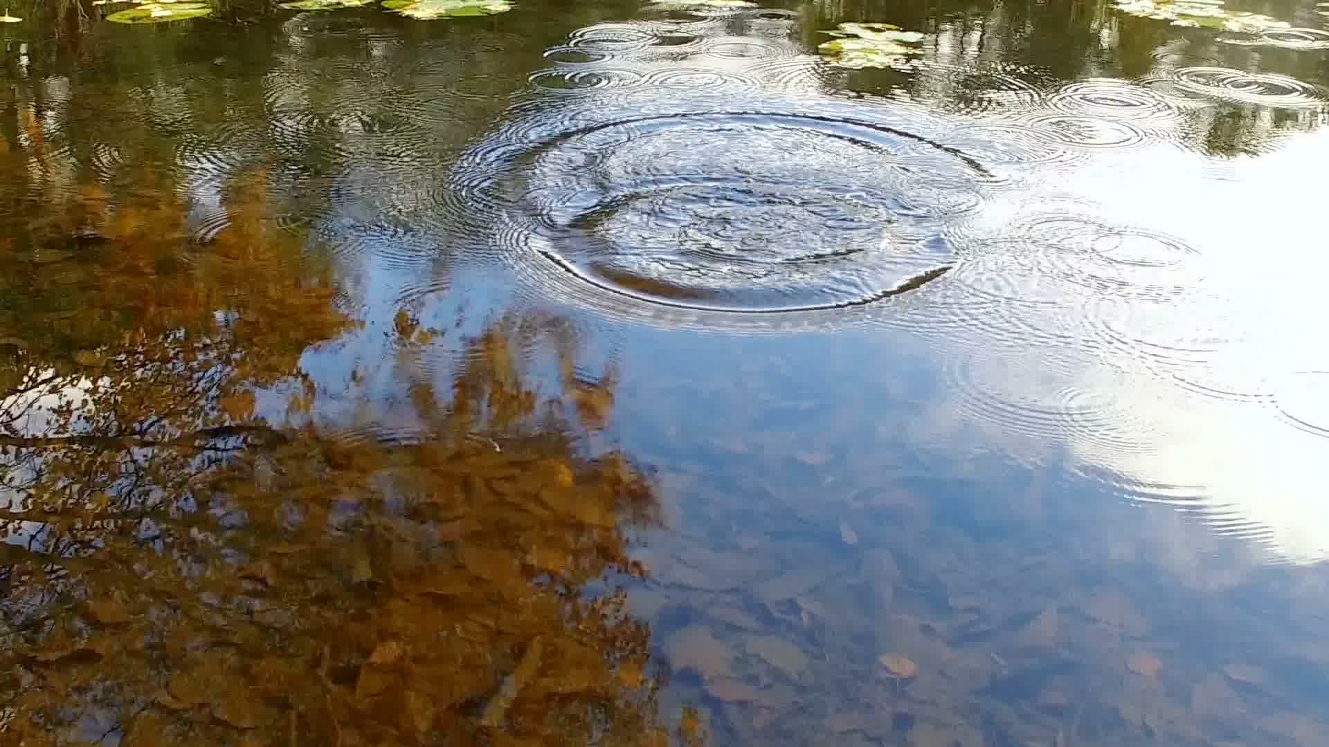 丢石头入水水花溅起水波纹涟漪_1920X1080_高清视频素材下载(编号:7952946)_实拍视频_光厂(VJ师网) www.vjshi.com