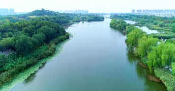 湖面日出湿地航拍延时【4K】