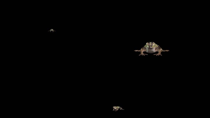 青蛙跳跃