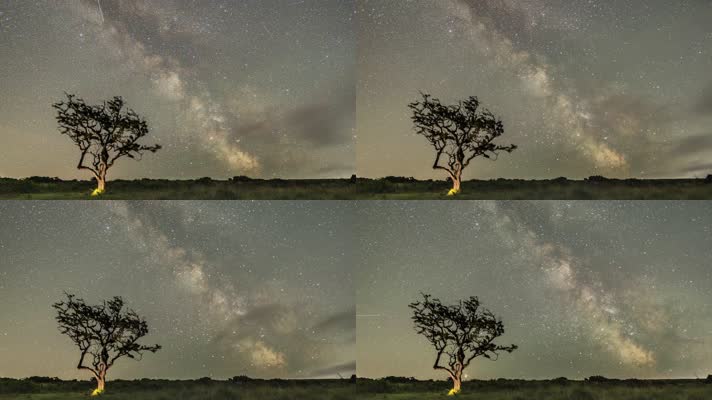 一棵树，夜空星空，斗转星移