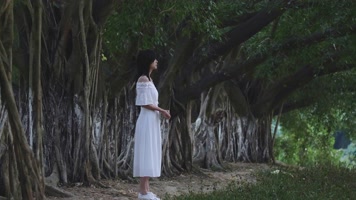 唯美女孩美女在树林行走背影4k视频素材