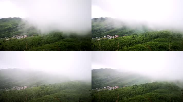 【延时拍摄】云雾里的大洞竹海