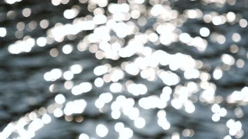 唯美河边湖边散步吹风的女孩4k视频素材