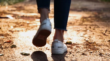 行走 走路 脚步 腿 森林树林散步 散步 树林