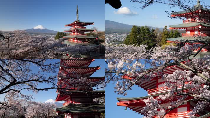 日本樱花，富士山， 五重塔