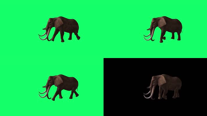 大象绿屏