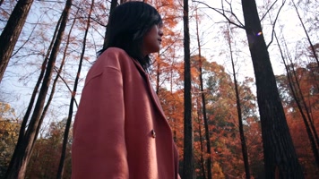 女孩在树林摄影行走游玩旅行4k视频素材