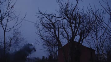 回家过年 团圆饭