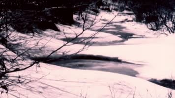 50年代抗美援朝-战俘问题-31 50年代抗美援朝-战俘问题-31