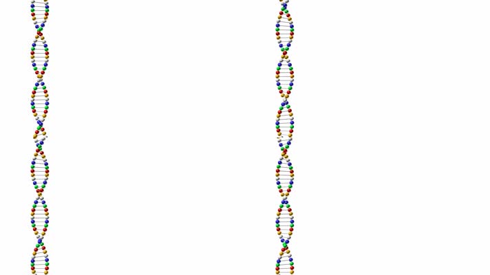圆珠子DNA基因序列医学样本医疗素材
