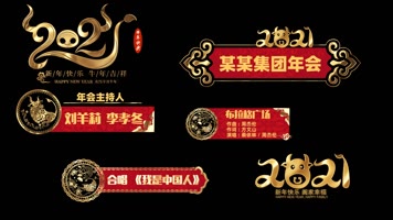 2021新年节目报幕文字条