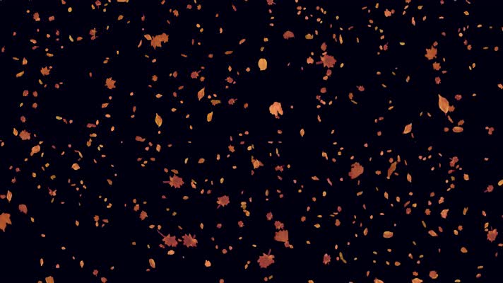 枫叶 落叶 飘落  