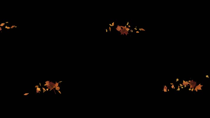 枫叶 落叶 飘落  