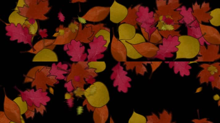 枫叶 落叶 飘落  