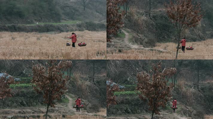 4k视频，老家过年冬季挑担的妇女在田野上