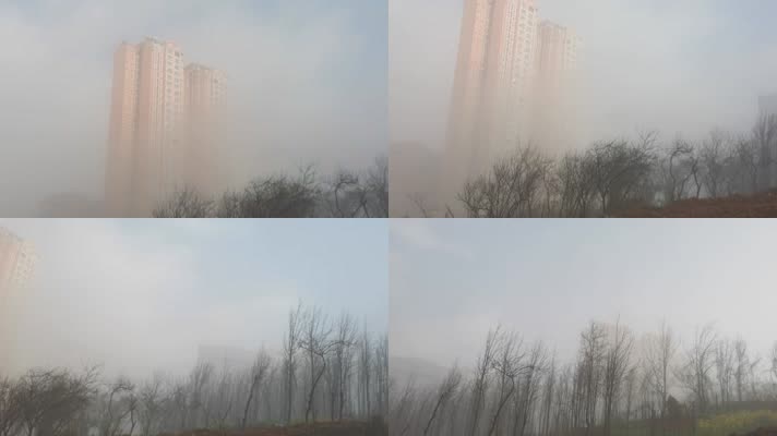 【实景拍摄】通过迷雾和丛林看到的高楼