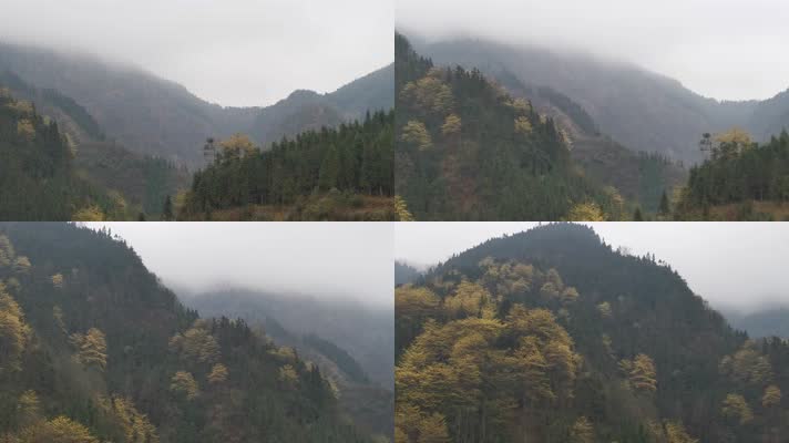 【实景拍摄】大雾里的远山有着茂密的山林