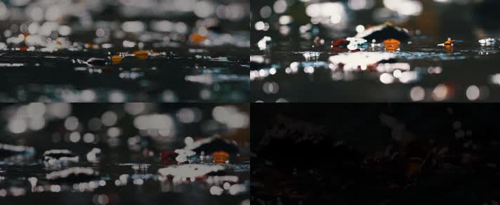 溪流流水，秋天流水，落叶飘零