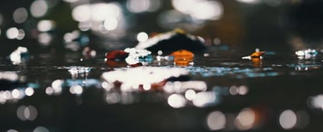 溪流流水，秋天流水，落叶飘零