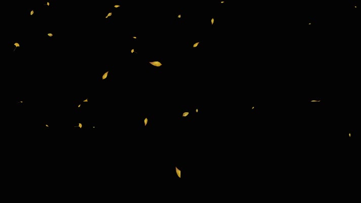 树叶飘落通道素材