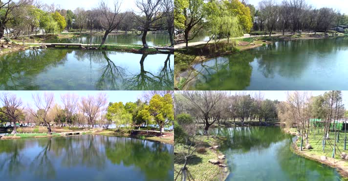 生态环境湖泊池塘人文环境水清岸绿