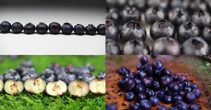 蓝莓-梅子-黑莓-莓果-蓝莓果创意拍摄