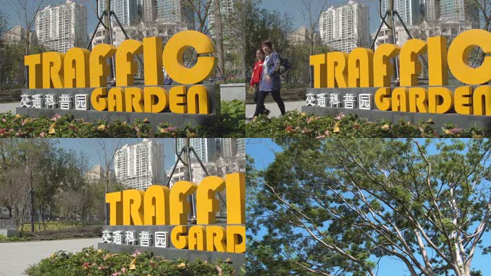 深圳福田交通科普园主题公园参天大树