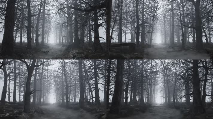 黑色森林，森林穿梭，阴森恐怖鑫