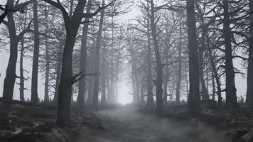 黑色森林，森林穿梭，阴森恐怖鑫
