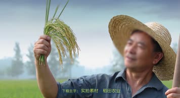 AE农业科技片头+农民稻田水稻4k