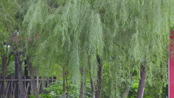 云南抚仙湖畔玉溪庄园广告牌和水中倒影