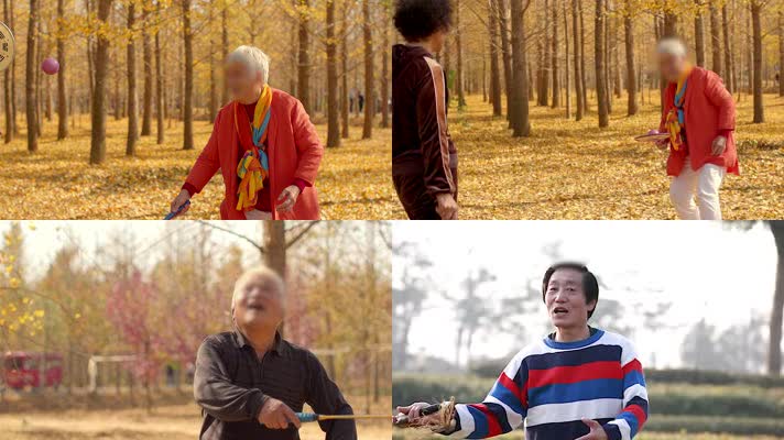 老年快乐健身运动4k