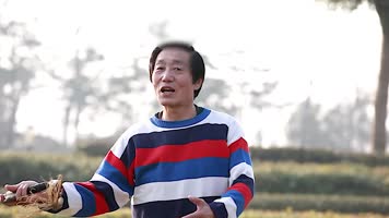 老年快乐健身运动4k