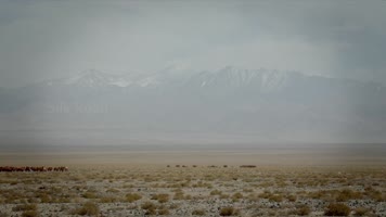  敦煌莫高窟（上）