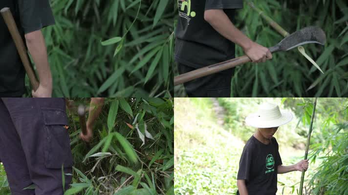 升格農村草帽少年砍竹子視頻素材