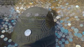 寺庙前投币池石雕视频宗教佛教旅游