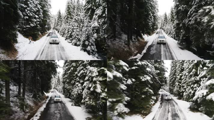 下雪冬天森林开车