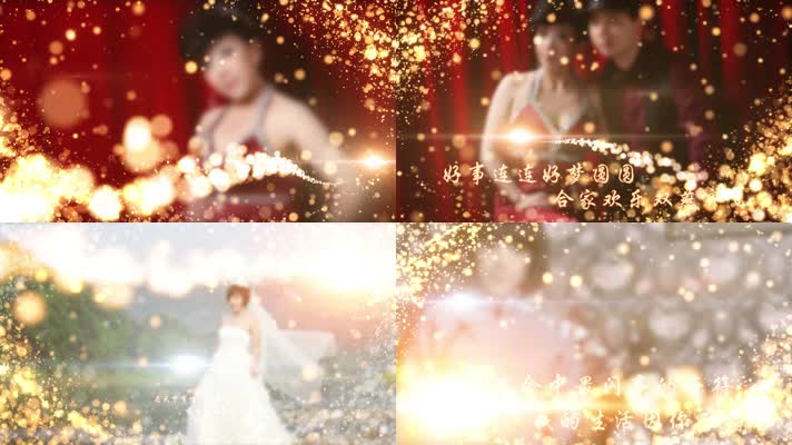 【014】唯美浪漫金色粒子婚礼Pr模板