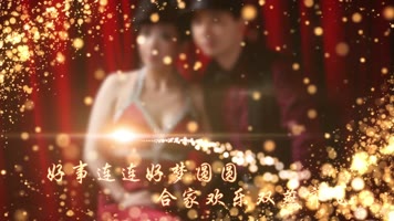 【014】唯美浪漫金色粒子婚礼Pr模板