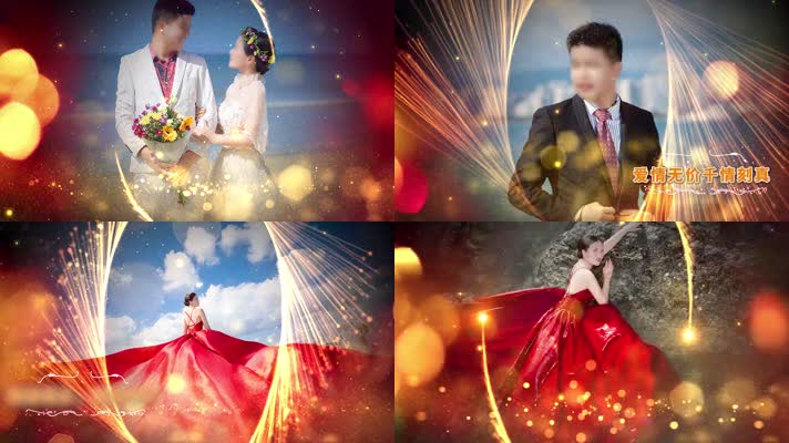 唯美高端金色粒子婚礼图文展示Pr模板