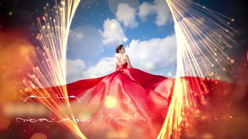 唯美高端金色粒子婚礼图文展示Pr模板