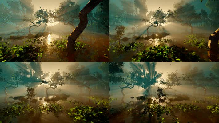 湿地公园，沼泽地，森林逆光动画