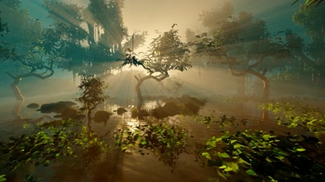 湿地公园，沼泽地，森林逆光动画