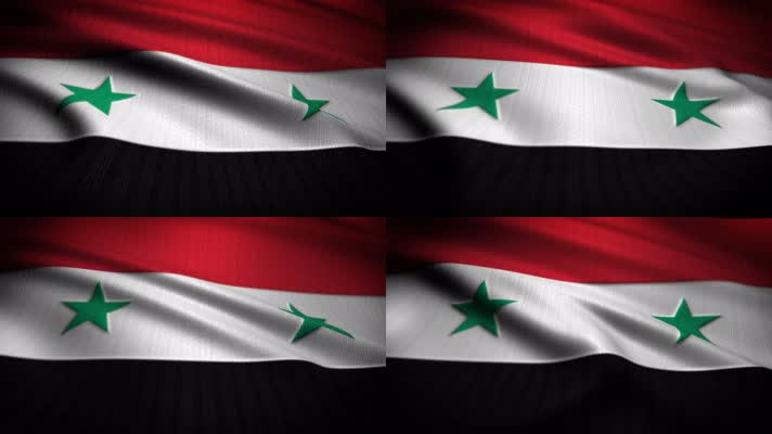 叙利亚 旗帜 国旗