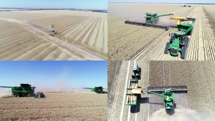小麦丰收，联合收割机，机械化收割