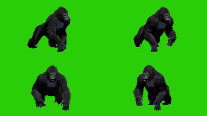 金刚绿屏，大猩猩绿屏