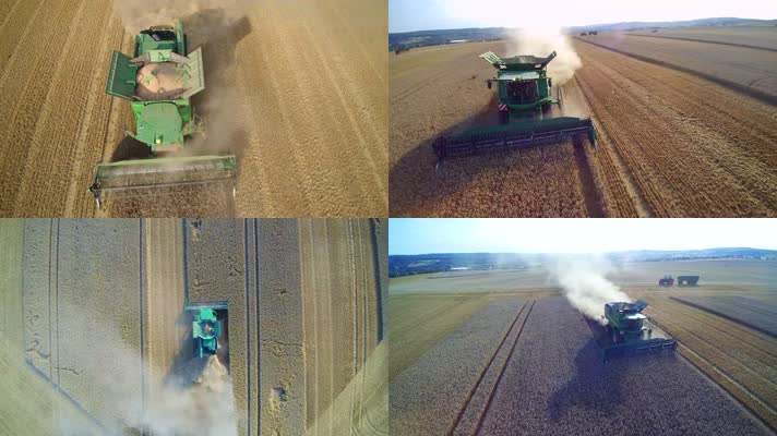 小麦丰收，联合收割机，机械化收割