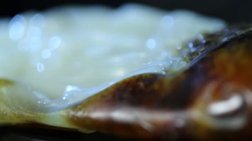 新疆和田玉石多角度视频镜头